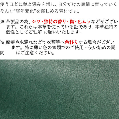 サコッシュバッグ  本革 日本製 アリゾナ KNC00065AB